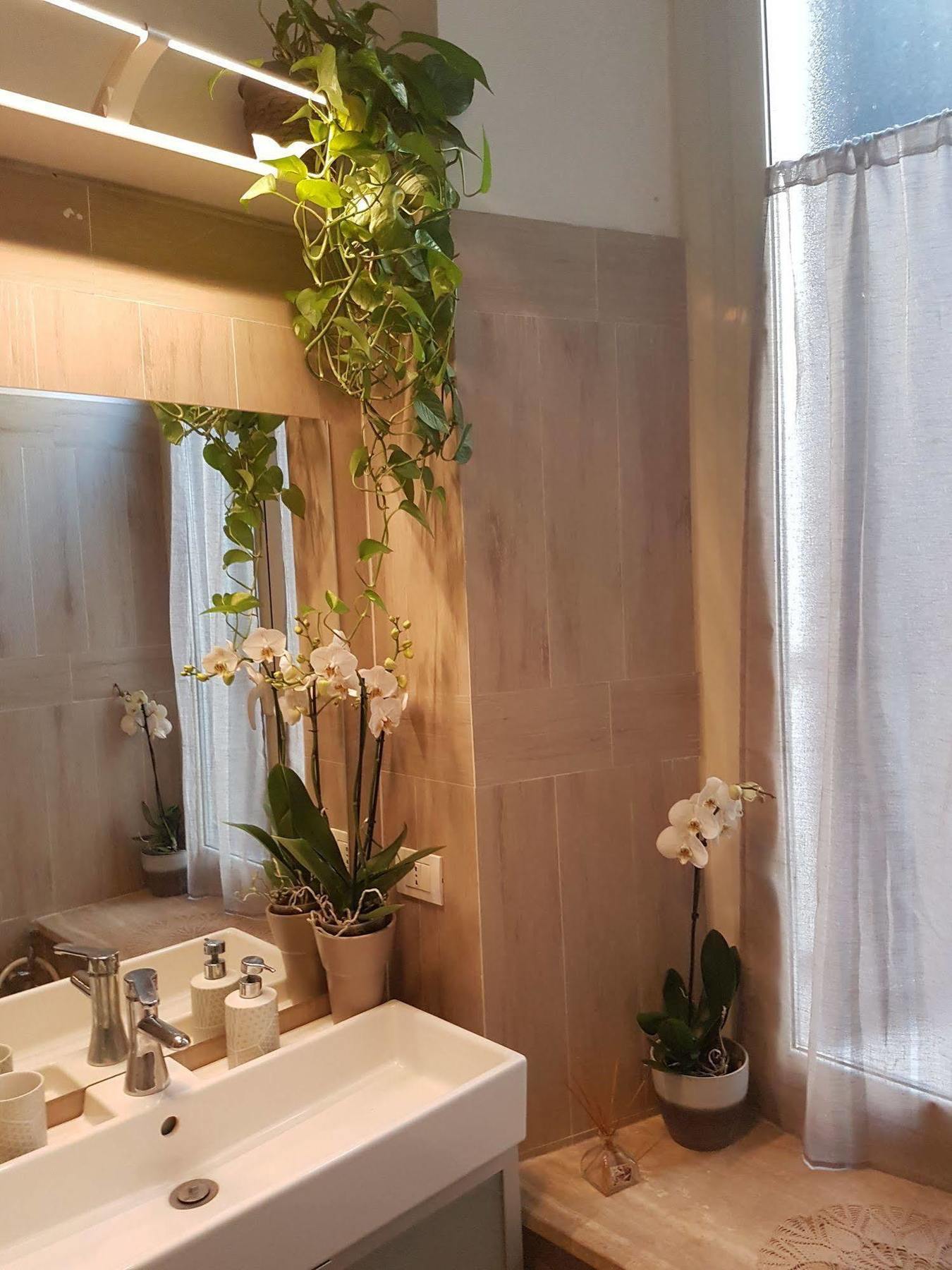 Chain Vatican Suites Roma Ngoại thất bức ảnh